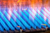 Nutfield gas fired boilers